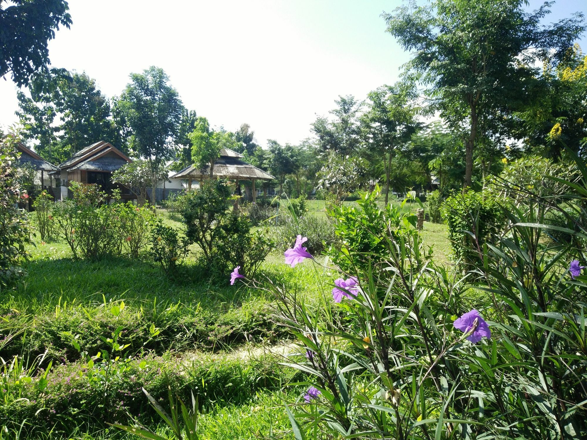 Pai Park Cottage Exterior photo